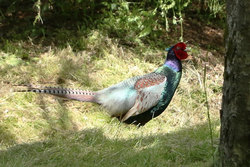 c0155950_01435089.jpg