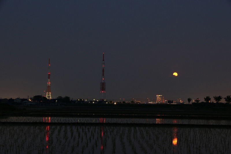 c0155950_22332663.jpg
