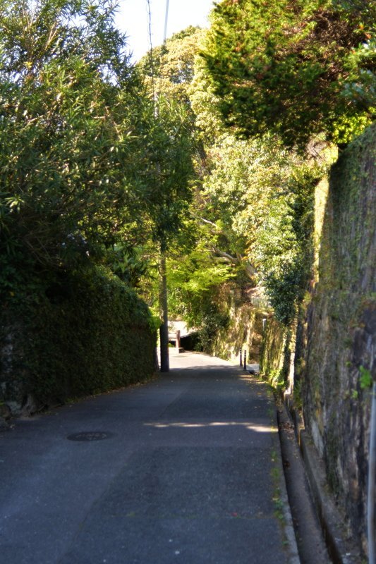 e0354451_07102404.jpg