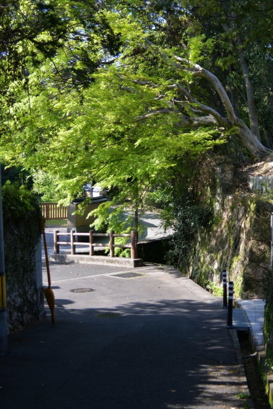 e0354451_07103717.jpg