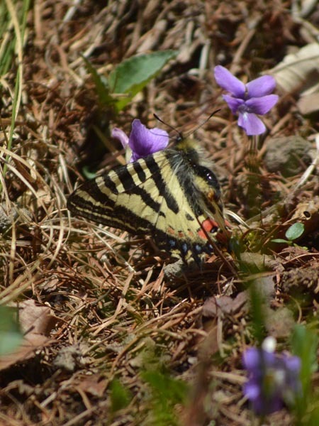 c0045352_05442650.jpg