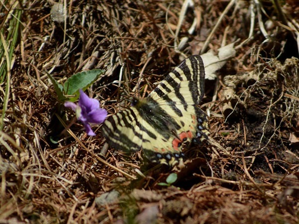 c0045352_05442779.jpg