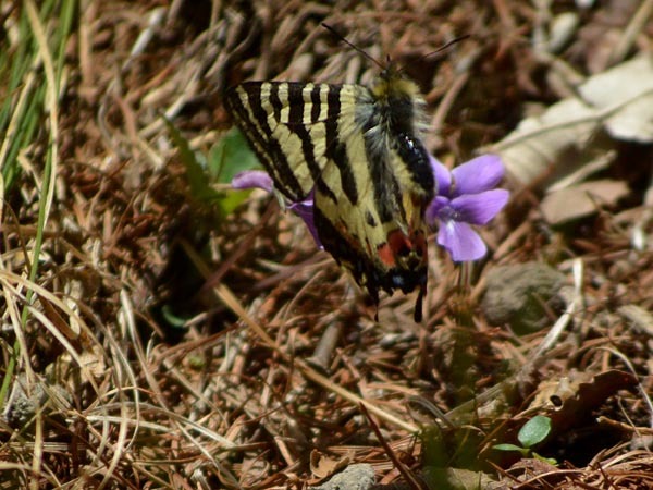 c0045352_05442782.jpg