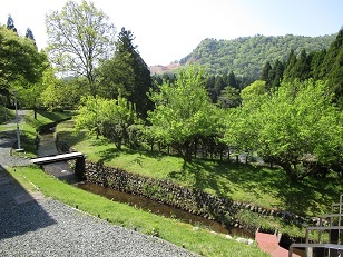 e0161752_19085494.jpg