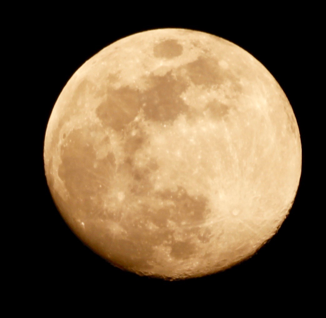 a0248459_04563163.jpg
