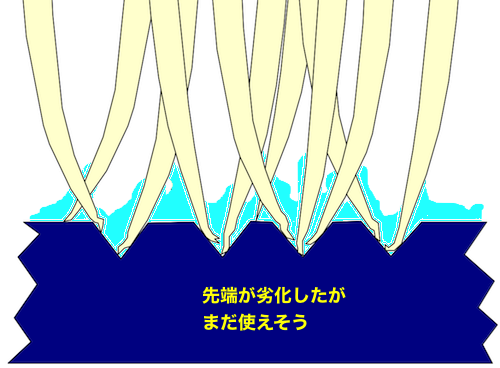 歯ブラシの先っぽ_e0298562_08574208.png