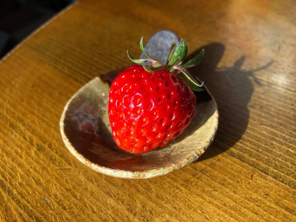 c0123363_10345393.jpg