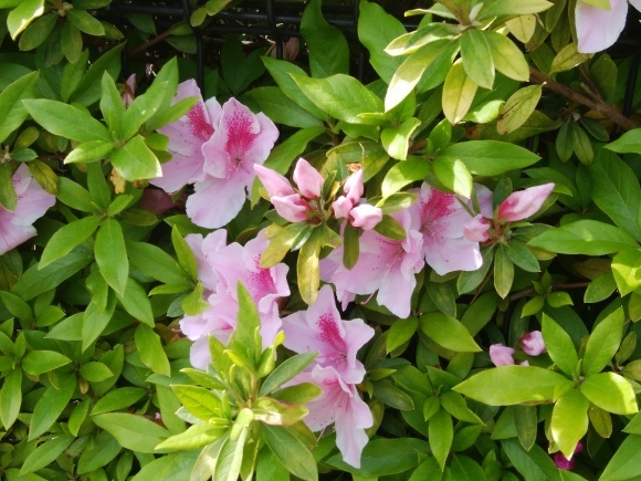 f0165567_06351987.jpg