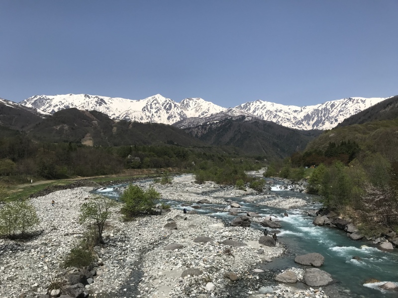 d0168669_13562538.jpeg