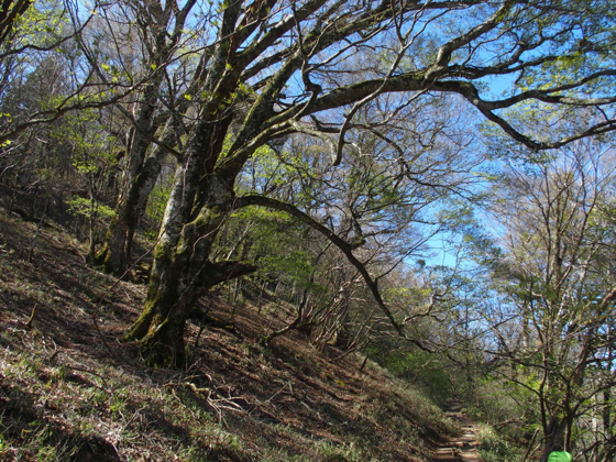 剣山登山ツアー_c0122670_20310997.jpg