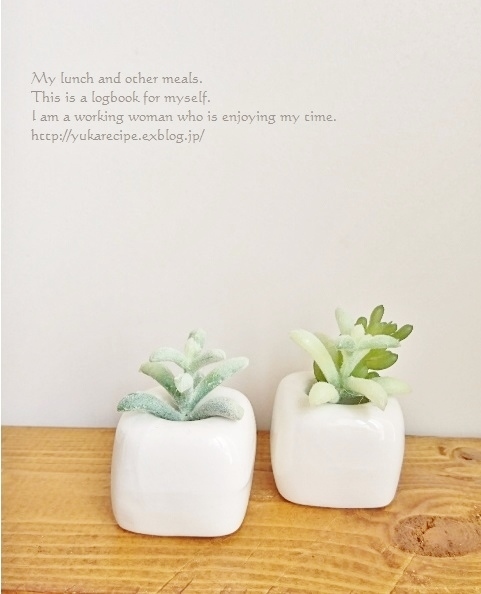 イエシゴトvol 257 フェイクの多肉植物とセリアでお買いもの Yuka Sレシピ イエシゴトvol 257 フェイクの多肉植物とセリアでお買いもの Yuka Sレシピ