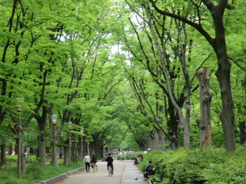 f0259373_15322669.jpg