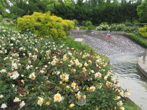 f0259373_15333524.jpg