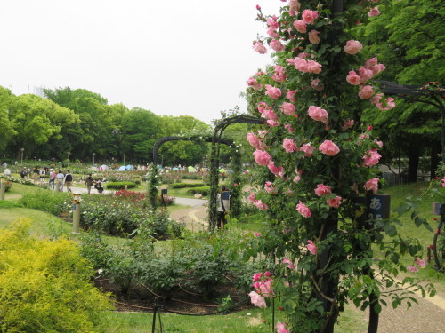 f0259373_15391292.jpg