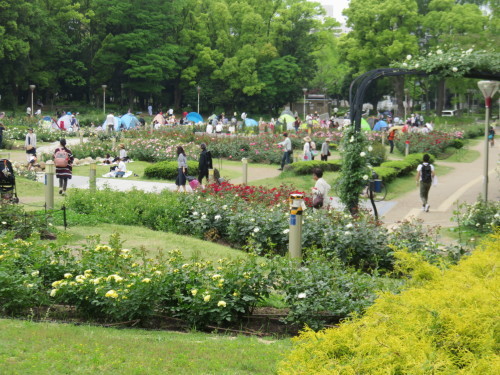 f0259373_15392311.jpg