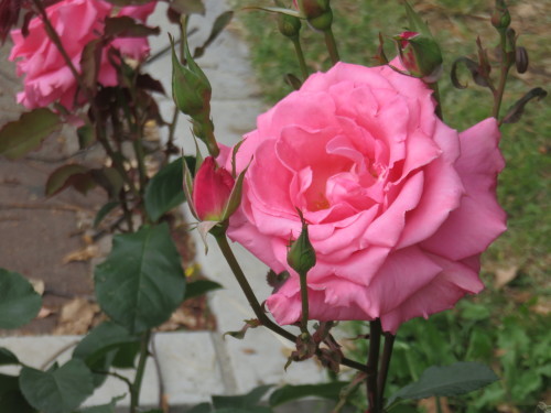 f0259373_15400450.jpg