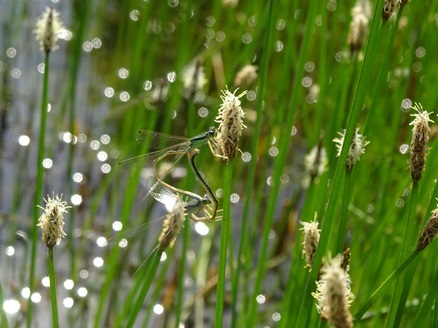 e0078674_18280104.jpg
