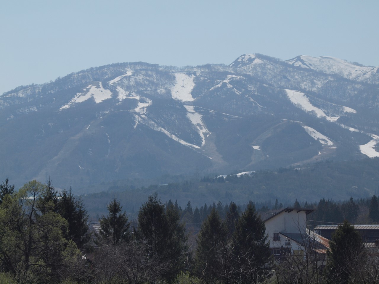 d0054276_2044514.jpg
