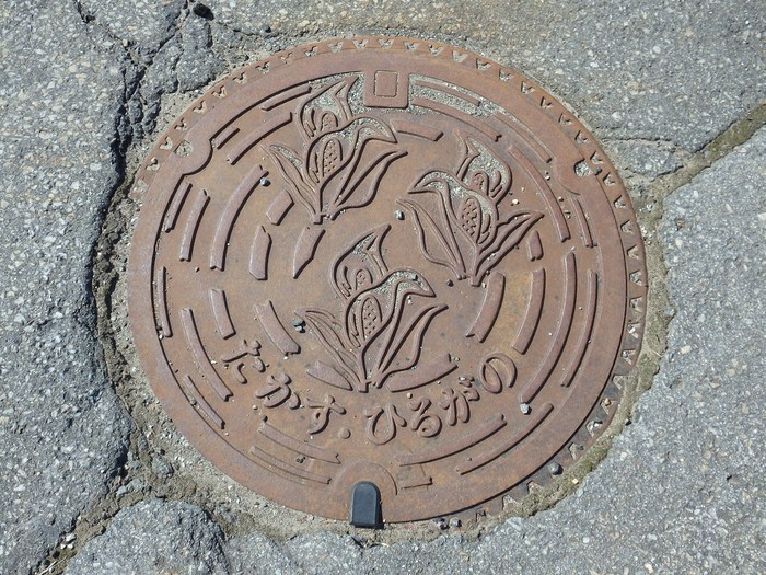 d0054276_2053822.jpg