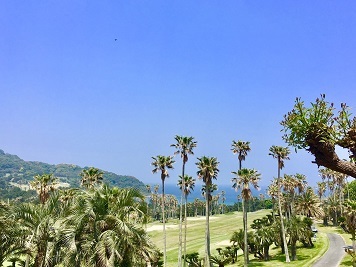 c0183878_13215471.jpg