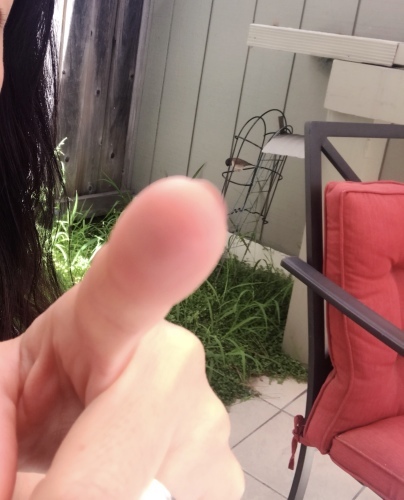 b0105379_01414847.jpeg