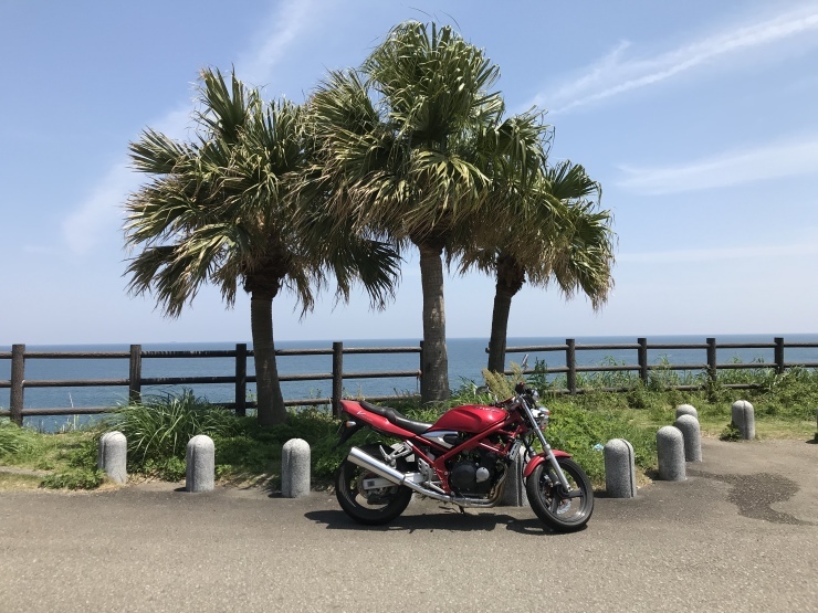 b0168680_17145909.jpeg