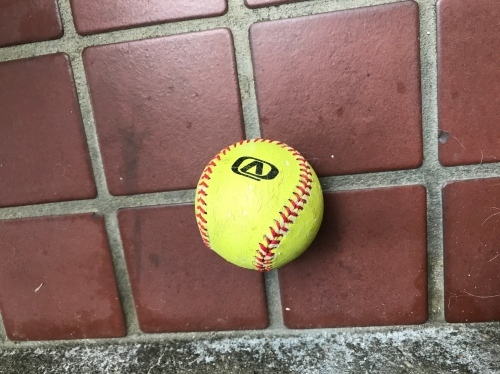 f0315081_21434783.jpeg