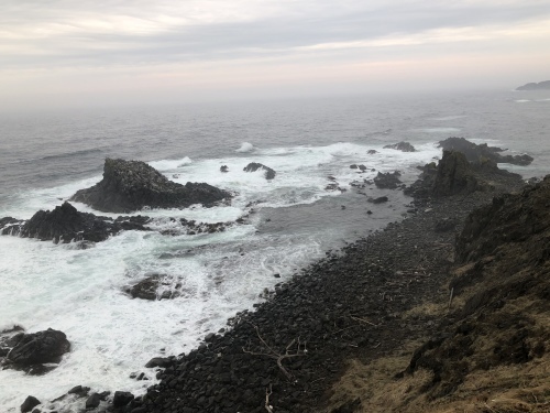 f0333882_17552026.jpeg