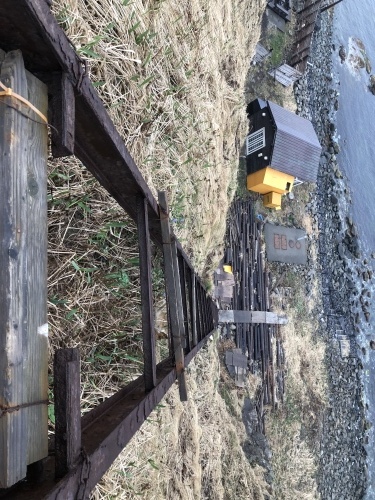 f0333882_17581681.jpeg