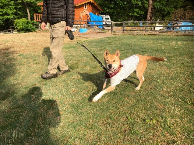 c0332184_05421103.jpeg