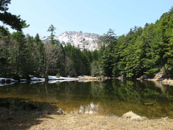 GWの山　北八ヶ岳しらびそ小屋_e0271890_14354943.jpg