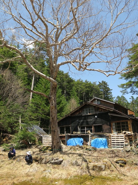 GWの山　北八ヶ岳しらびそ小屋_e0271890_15183788.jpg