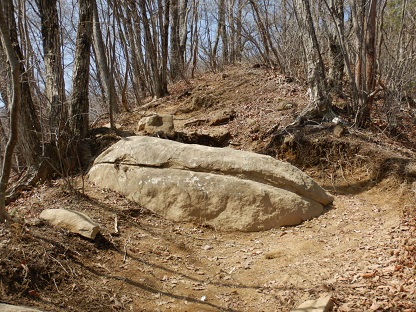 e0077899_5342291.jpg