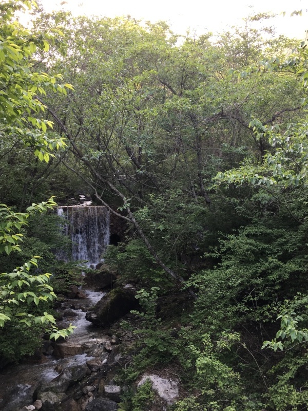 b0220002_20211219.jpeg