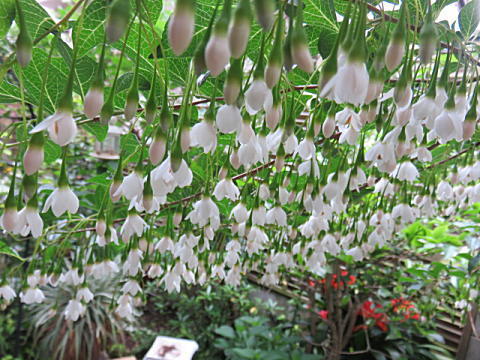 d0046702_06391994.jpg