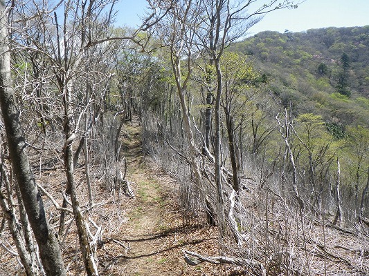f0187402_16320615.jpg
