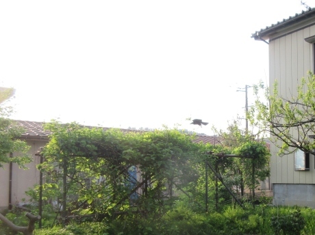 a0203003_19523682.jpg