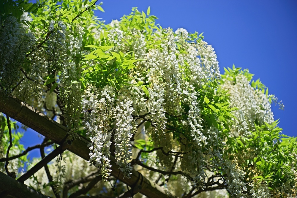 d0376905_15595914.jpg