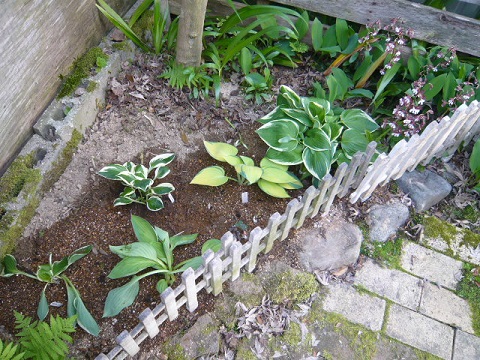 c0112206_225134.jpg