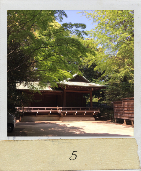 5月です。_a0088007_17513204.jpg