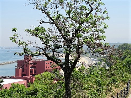 e0360409_13061100.jpg