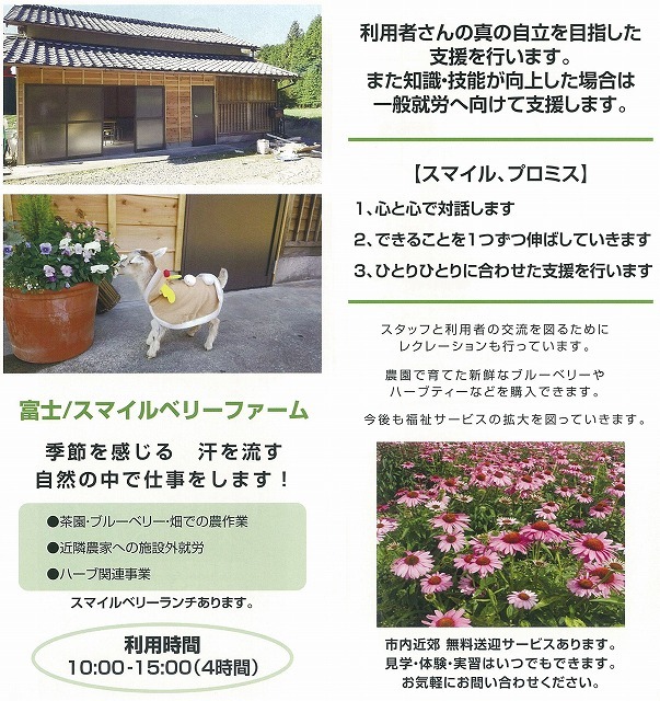 ユニバーサル就労議員連盟で「農福連携」の「スマイルベリーファーム」(大渕)を訪問_f0141310_09171749.jpg