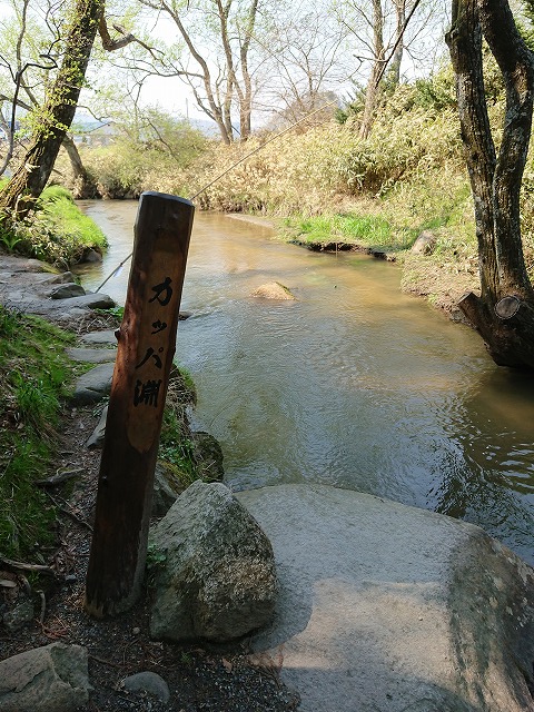 f0100911_2035661.jpg