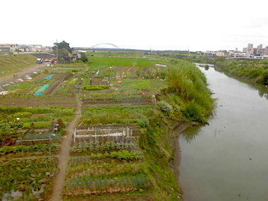 a0019212_16534739.jpeg