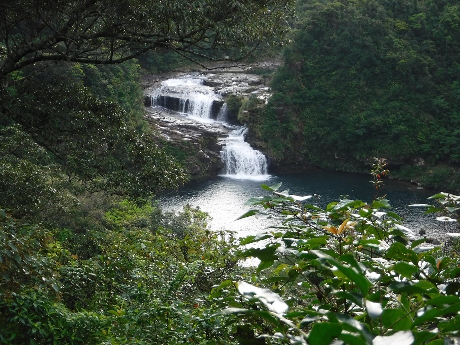 d0006512_13010324.jpg