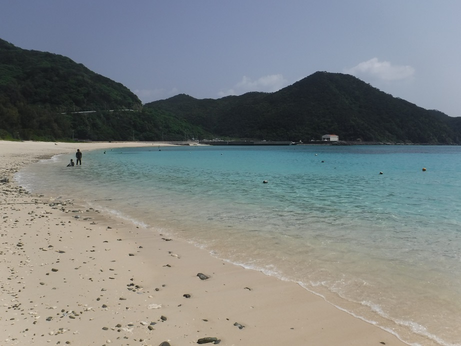 d0006512_16542639.jpg