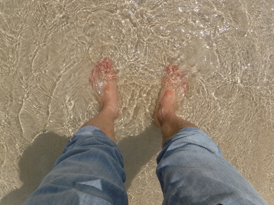 d0006512_16563647.jpg