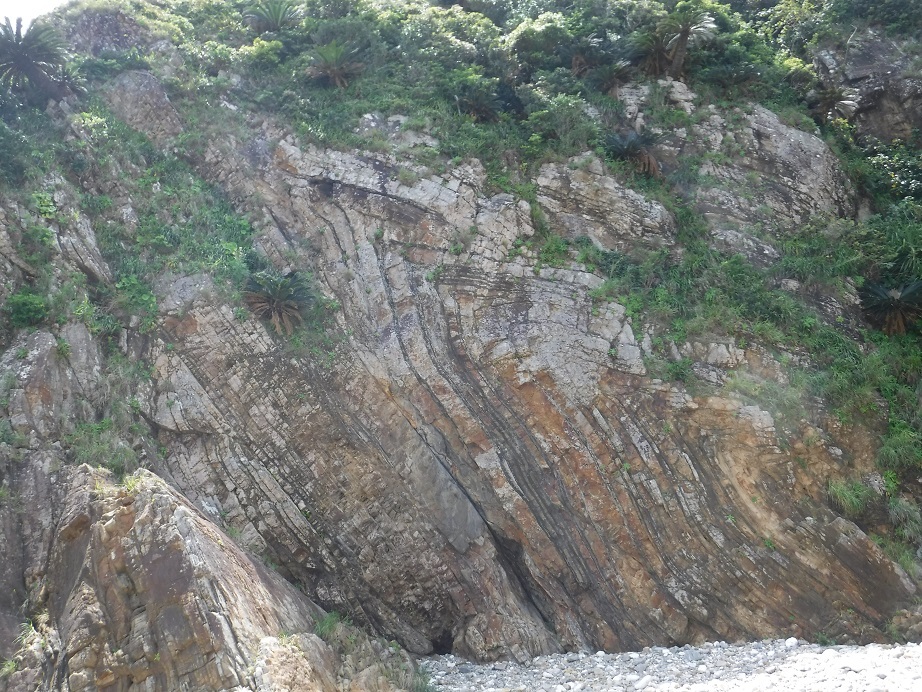 d0006512_17183259.jpg