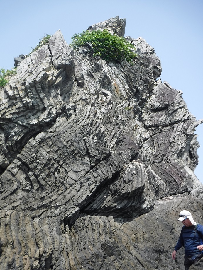d0006512_17185412.jpg