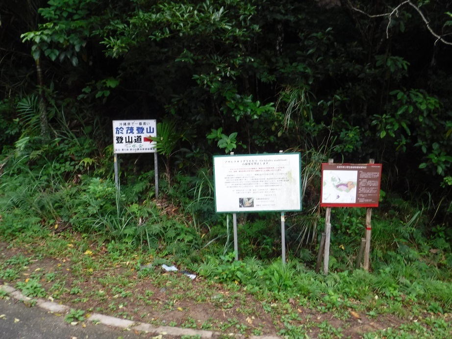 d0006512_18271532.jpg